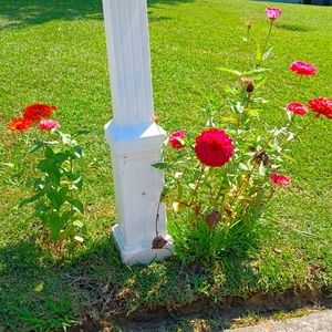 Thank you😊. Reasonable offers accepted.